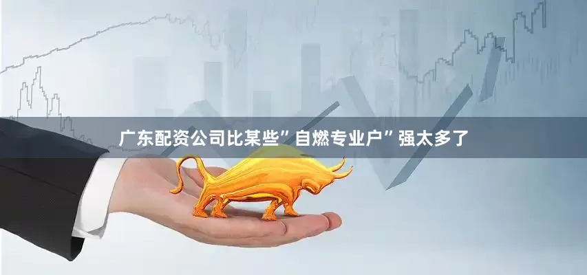 广东配资公司比某些”自燃专业户”强太多了